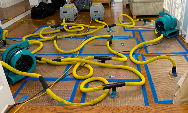 Professional Basement Flood Cleanup technician working in Franklin Furnace, OH