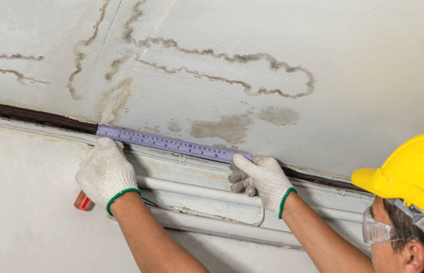 Affordable Water Damage Repair solutions in Franklin Furnace, OH